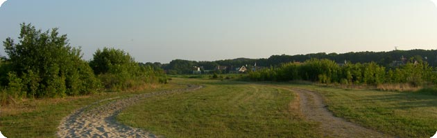 Dorpsbos Dishoek (Koudekerke) circa 4 jaar na de aanleg