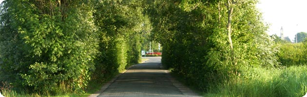 Heggetunnel nabij Koudekerke