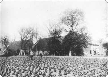 boerderijen Lammerenburg en Groot Lammerenburg omstreeks 1900 in Koudekerke
