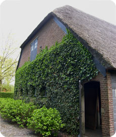 westgevel van boerderij Groot ter Hooge te Koudekerke