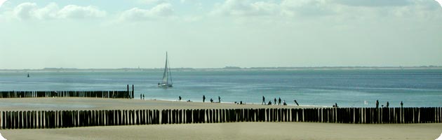 Paalhoofden op het strand bij Dishoek (Koudekerke)