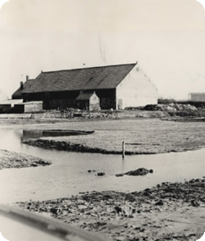 boerderij Paauwenburg te Koudekerke in 1963